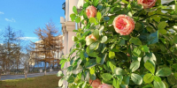 В Магадане -1, +3°C, ясная погода - Газета Магаданская правда