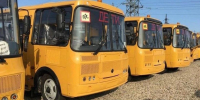 В Приамурье поступили 24 автобуса для школьных маршрутов - gtrkamur.ru - ГТРК Амур