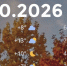 Bazaart_2026-10-09_235739 - ЗА Новомосковск