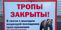 В районе Бурятии снова вышли медведи - Газета Номер один