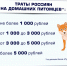 Туляки рассказали о своих питомцах - ТК Первый Тульский