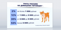 Туляки рассказали о своих питомцах - ТК Первый Тульский