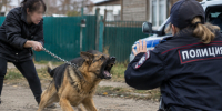 В Благовещенске женщина спустила овчарку на полицейскую которая приехала забрать ее детей - Amur.Life