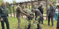Дуб памяти в честь героев Битвы за Кавказ появился в Кисловодске - ИА Победа 26