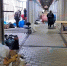 Выгнали как собак: торговцы с ростовского «Темерника» – о встрече с сотрудниками ФССП - DonDay.Ru