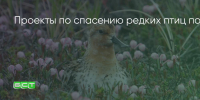 Поделитья во ВКонтакте - Братская Студия Телевидения
