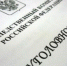 В Ульяновской области возбудили дело за демонстрирование нацистской символики - Ulyanovsk.Express