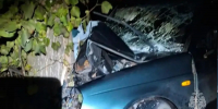 В Юже Lada Priora врезалась в дерево, пострадали четыре человека - Известно.ру