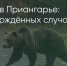 Поделитья во ВКонтакте - Братская Студия Телевидения