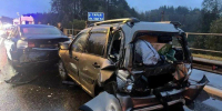 Полиция проверяет обстоятельства массового ДТП на трассе «Кола» - Spbdnevnik.ru