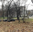 Петербуржцы сообщили о скольких и неубранных кучах листьев на тротуарах - ГАZЕТА.СПб