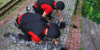 Двух воров-гастролёров сняли с поезда после ограбления в Новосибирске - Gorsite.Ru