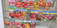 В Сосновоборске продавали семена растений, не зарегистрированных в Госреестре - Газета Красноярский рабочий