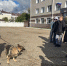 Ученики Лучовской школы побывали в гостях у чистопольских полицейских - Чистополь-информ