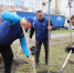 На Тернопольской высадили  более 50 кленов - Пензенская городская Дума