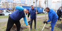 На Тернопольской высадили  более 50 кленов - Пензенская городская Дума