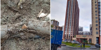 ЖК «Академия» в Новосибирске остался без света из-за аварии на ЛЭП - Gorsite.Ru
