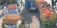 "Овощной круиз» в полицию: власти Таганрога снова штурмовали нелегальных торговцев - Bloknot-Taganrog.Ru