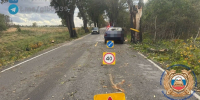 Дерево упало на «Опель» в Зеленоградском районе, пострадали два человека - NewKaliningrad.Ru
