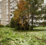 первый снег на траве - ИА Nord-News.Ru