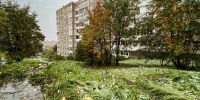 первый снег на траве - ИА Nord-News.Ru