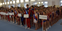 Всероссийские соревнования по спортивной гимнастике соберут в Костроме больше 250 спортсменов - Город Кострома