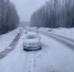 Жителей Карелии предупредили о сильном ветре и заморозках до -4°С - Gubdaily.Ru