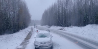 Жителей Карелии предупредили о сильном ветре и заморозках до -4°С - Gubdaily.Ru
