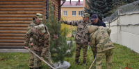 В Красноярске росгвардейцы высадили «Кедр памяти» в честь 85-летия начала обороны Кавказа - Росгвардия