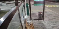 В Железноводске задержали мужчину, стрелявшего по стеклянным остановкам - Комсомольская Правда