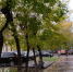Облачно и до +13 °C: какой будет погода в Кирове в воскресенье, 11 октября - ProGorod.Ru