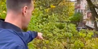 Фото: Сергей Жестянников канал в ВК - Вологда-поиск