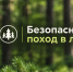 Тихая охота без риска: как не потеряться в лесу - МЧС Псковской области