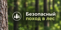 Тихая охота без риска: как не потеряться в лесу - МЧС Псковской области
