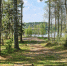 Фото: ПАИ - InformPskov.Ru