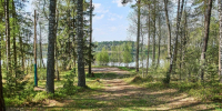 Фото: ПАИ - InformPskov.Ru