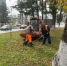 Во Владимире в пятницу прошел общегородской субботник - Комсомольская правда