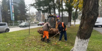 Во Владимире в пятницу прошел общегородской субботник - Комсомольская правда