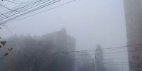 В Воронежской области из-за тумана объявили желтый уровень погодной опасности - Комсомольская Правда