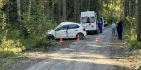 Названы муниципалитеты Вологодской области, где растёт число ДТП с участием детей - Gorodvo.Ru