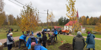 Приоратскому дворцу возвращают исторический пейзаж: в Гатчине высадили 80 деревьев - Online47.Ru