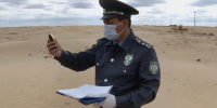 В Астраханской области на пастбищах выявили опустынивание - Комсомольская Правда