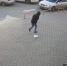 Пакет с камнями едва не разбил голову школьнице на улице Потребкооперации: видео - ProGorod.Ru
