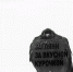 Смешные картинки и мемы с голубями | Источник: Булат Салихов / UFA1.RU - 76.Ru