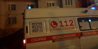Хозяйская собака покусала ребёнка в подмосковном СНТ - ОКА-ФМ