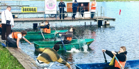 В Саранске прошли водноспортивные соревнования - Info-Rm.Com