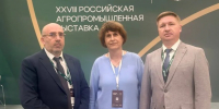 В Дагестане готовятся объявить карантин из-за выявления мраморного клопа - РИА Дагестан