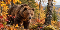 Фото сгенерировано ИИ - Вологда-поиск