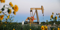 Минэнерго США одобрило срочную передачу из резерва 4 млн баррелей нефти - Комсомольская Правда