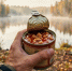 Нож и открывашка не нужны: как открыть консервную банку голыми руками — знакомый турист-палаточник раскрыл секрет - PRO Город Владимир